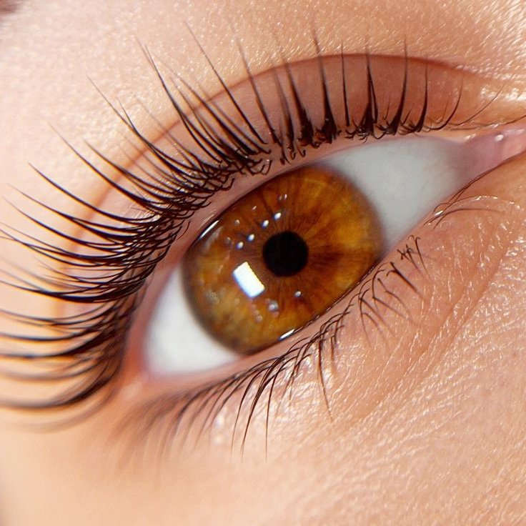 Expert Lash & Beauty Care
